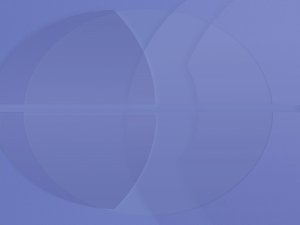 讲给老板听的多语言支持价值分析